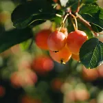 Appartement Valfontana *