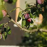 Valfontana Appartement