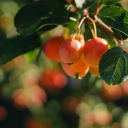 Διαμέρισμα Valfontana *