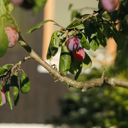 Valfontana Διαμέρισμα